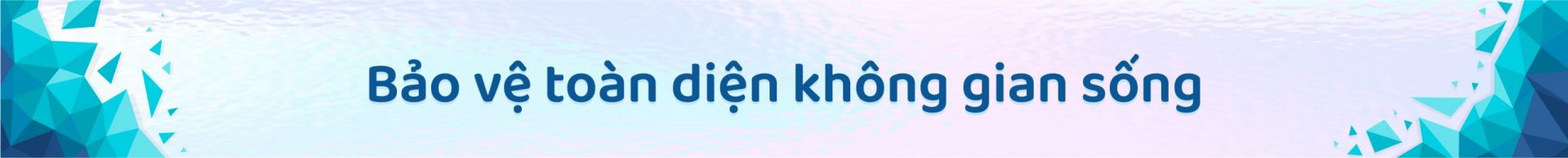 Bảo vệ toàn diện không gian sống với gói phim cách nhiệt NanoX Ice-Con