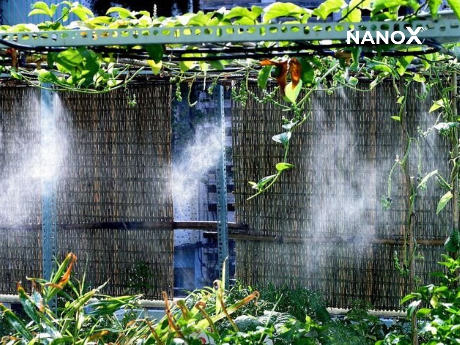 9 giải pháp chống nóng chung cư hiệu quả nhất 7 lắp thêm hệ thống phun sương cho chung cư