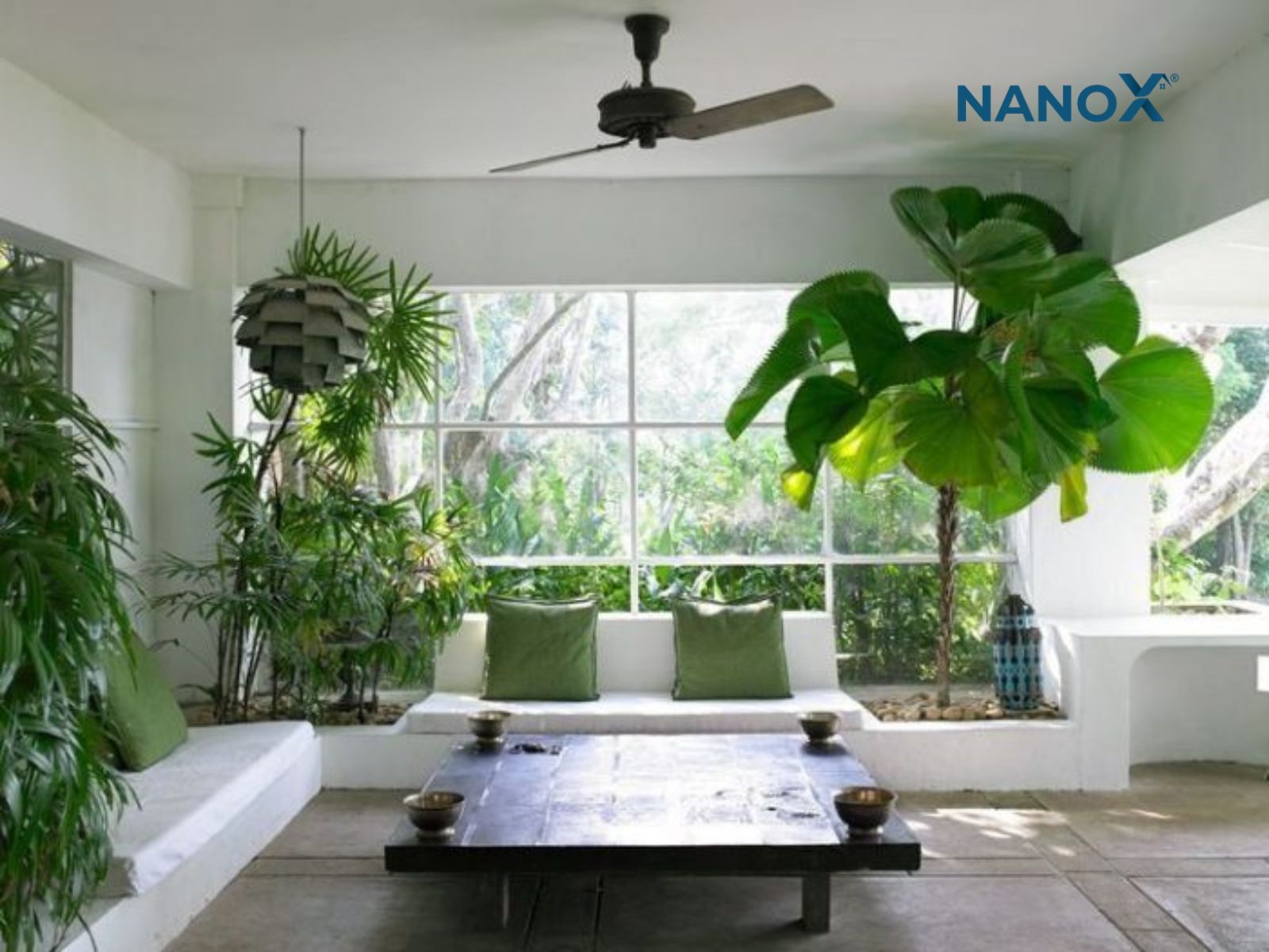 7 Giải pháp chống nóng cho cửa kính nhà ở hiệu quả 8 trồng nhiều cây xanh trong nhà giúp chống nóng cửa kính