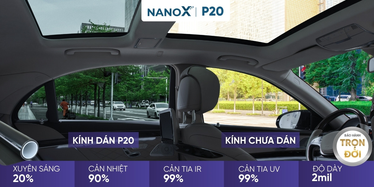 NanoX-P20