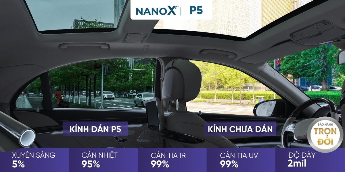 NanoX-P5