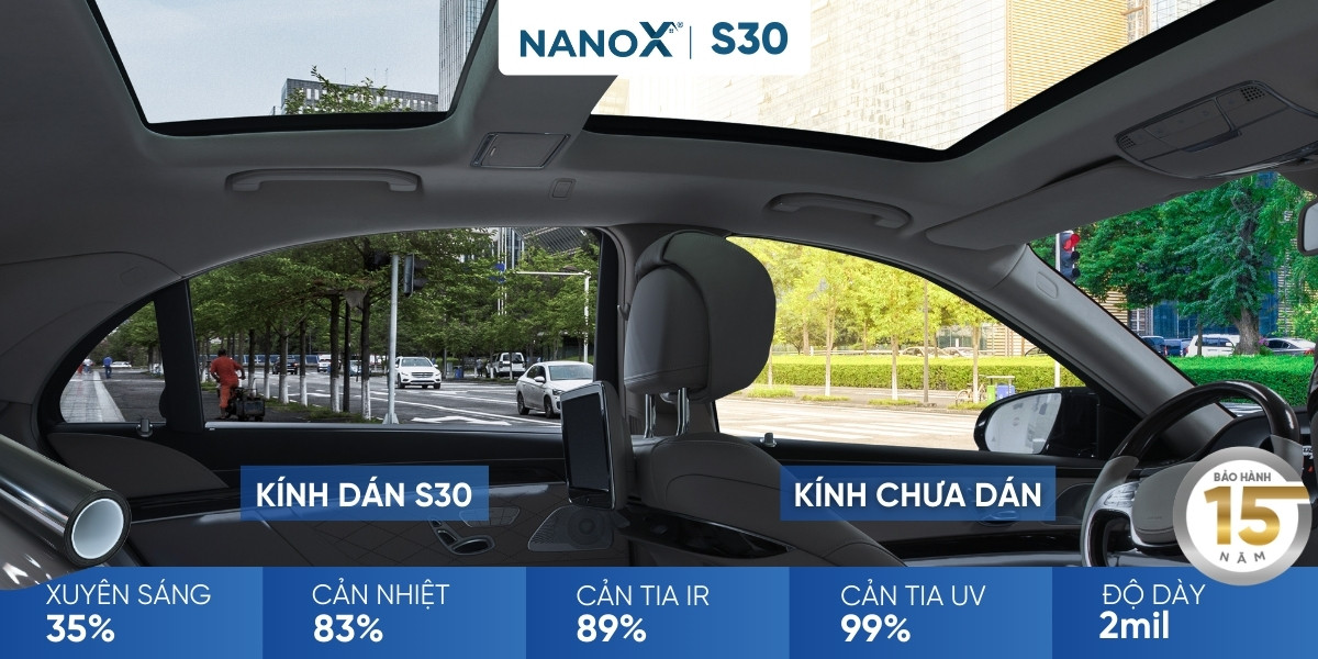 NanoX-S30