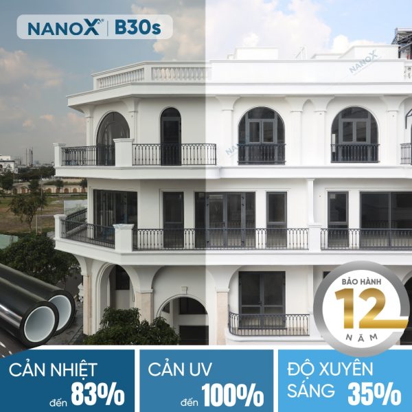 NanoX B30s