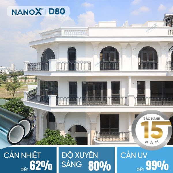 NanoX D80