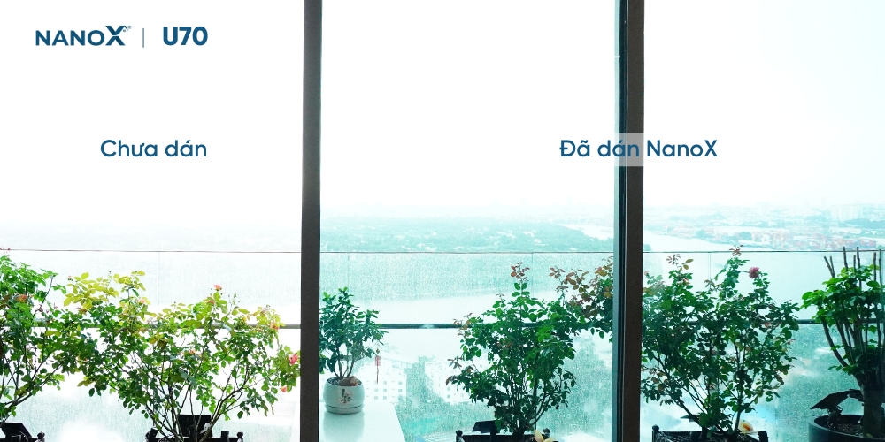 Giấy Dán Kính Chống Tia UV
