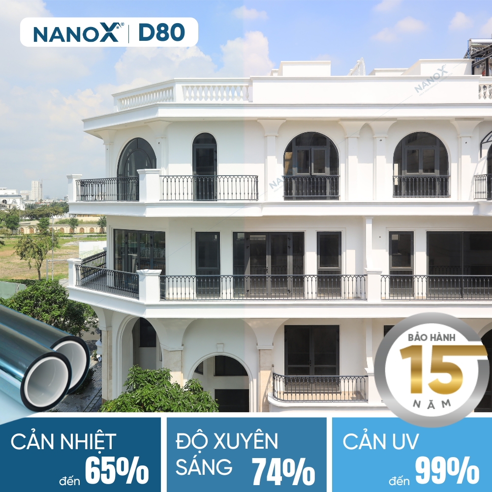 nanox d80 1
