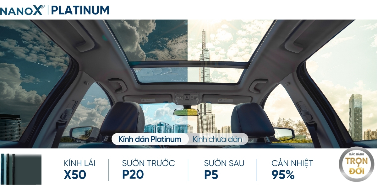 en NanoX Platinum