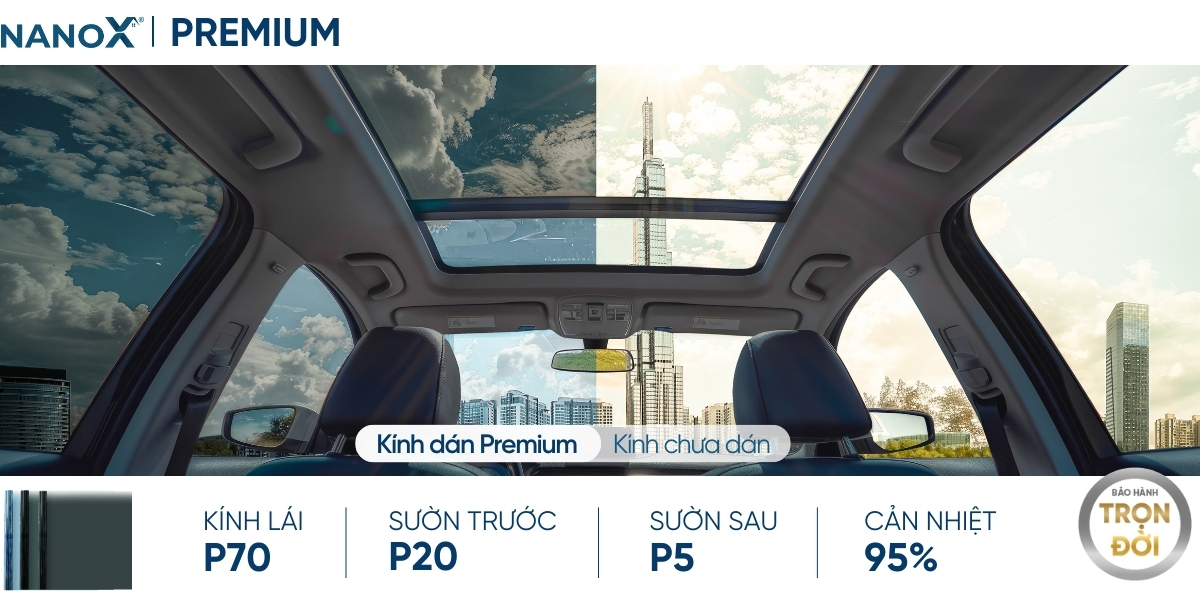 en NanoX Premium