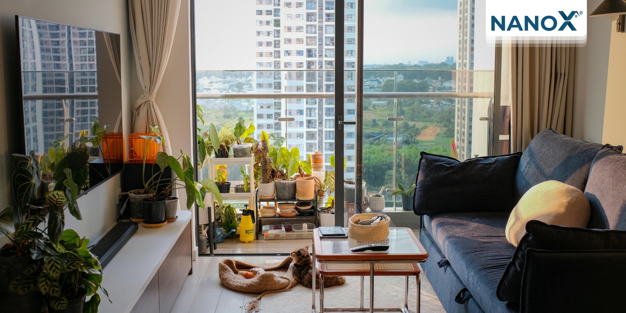 Có thể cân nhắc phủ cây xanh cho toàn bộ không gian
