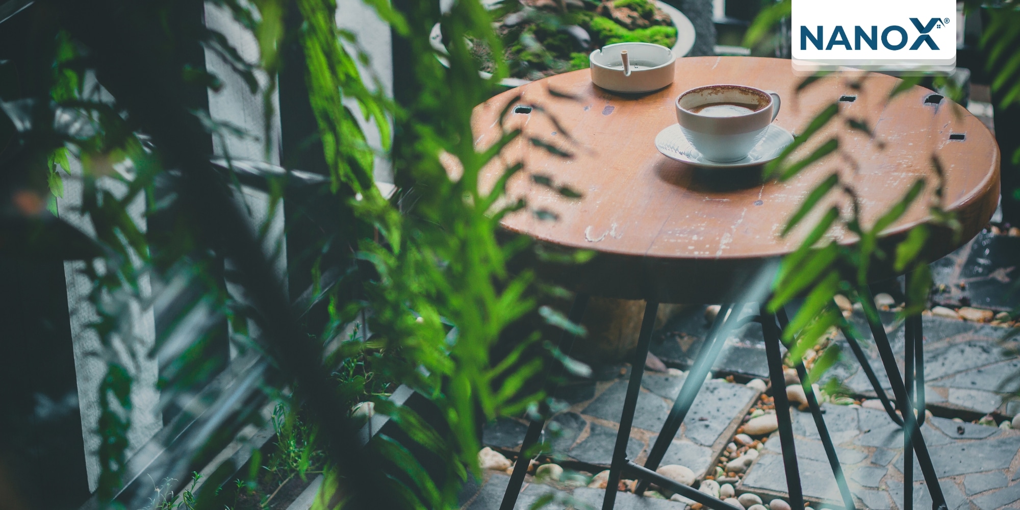 Chống nóng quán cafe với giải pháp “phủ xanh” không gian quán