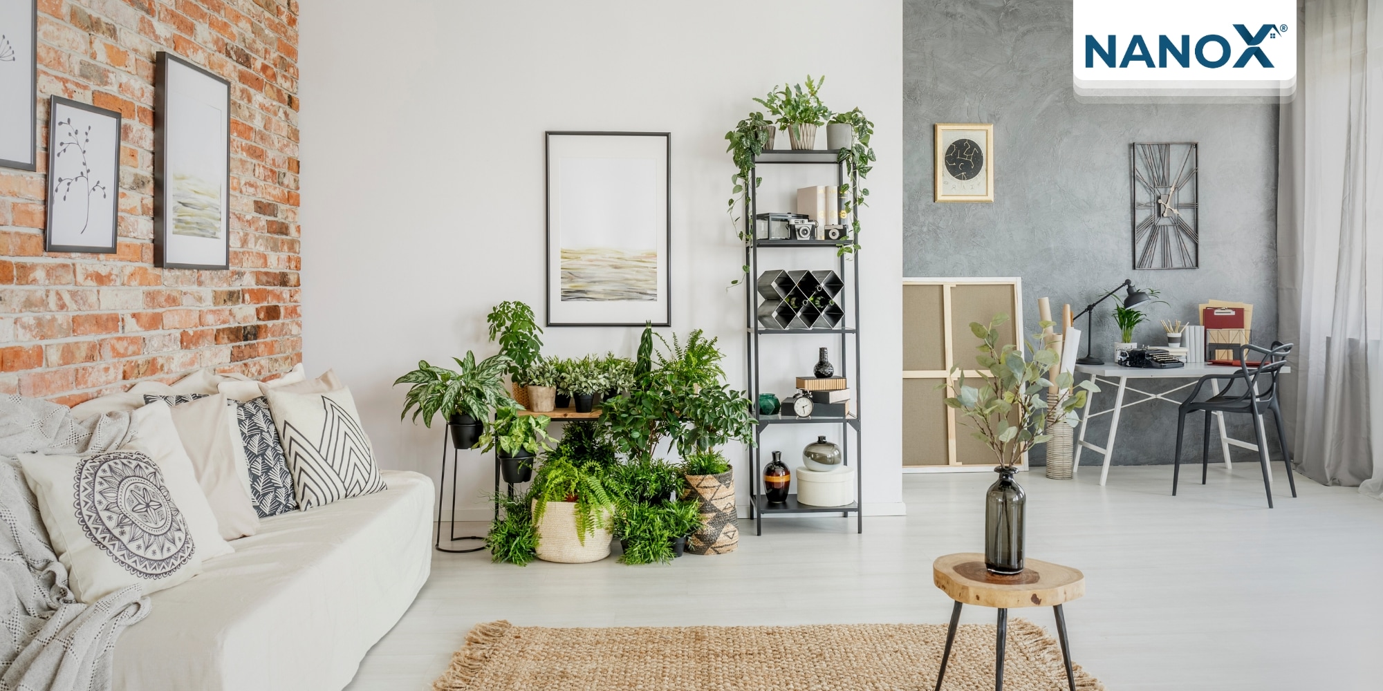 Trồng cây lấy bóng mát là phương án vừa chống nắng nóng trong nhà, vừa tăng thêm độ thẩm mỹ