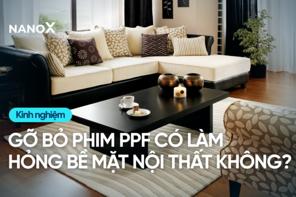 Gỡ bỏ phim PPF có làm hỏng bề mặt nội thất không? Lưu ý khi gỡ phim PPF